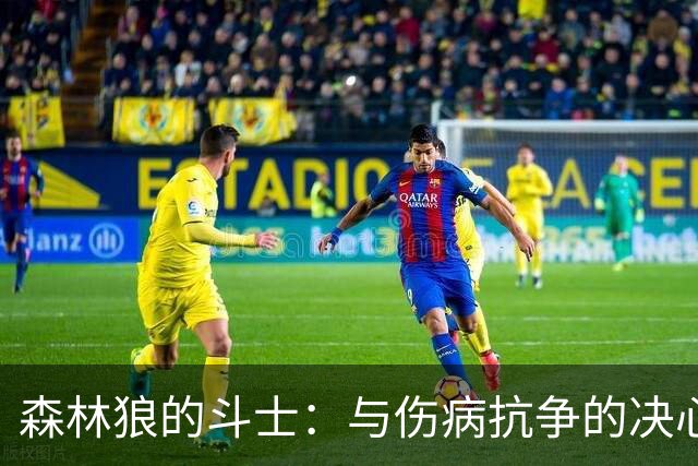 森林狼的斗士：与伤病抗争的决心与坚韧